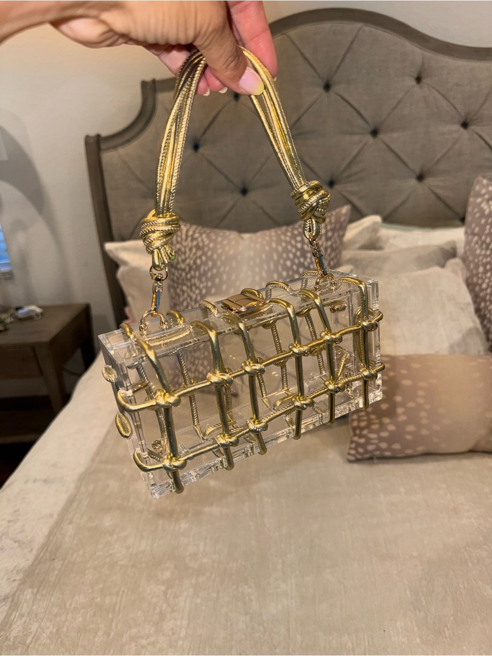 Clear Acrylic Cage Handbag with Gold Hardware